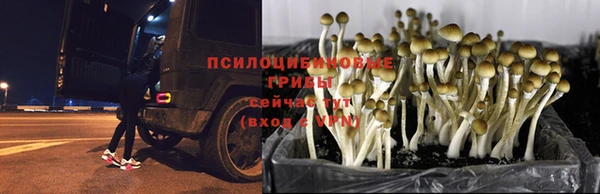 экстази Абдулино