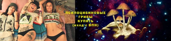 прущий лед Анива