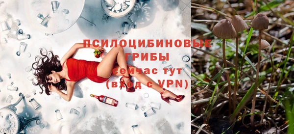 мет Анжеро-Судженск