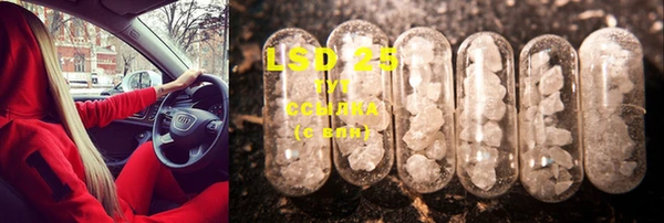 ECSTASY Абаза