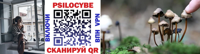 Псилоцибиновые грибы прущие грибы  купить наркотик  Адыгейск 